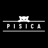 Pisica